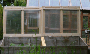 Our rennovated cold frame
